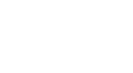 Dart-logo-white